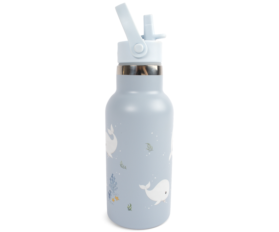 Filibabba Stainless Steel Water Bottle – Whale Tales