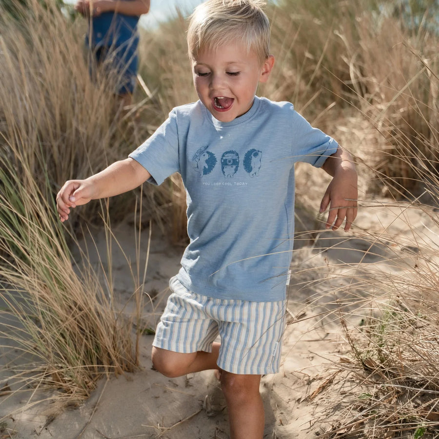 LITTLE DUTCH. Short Multi Stripe