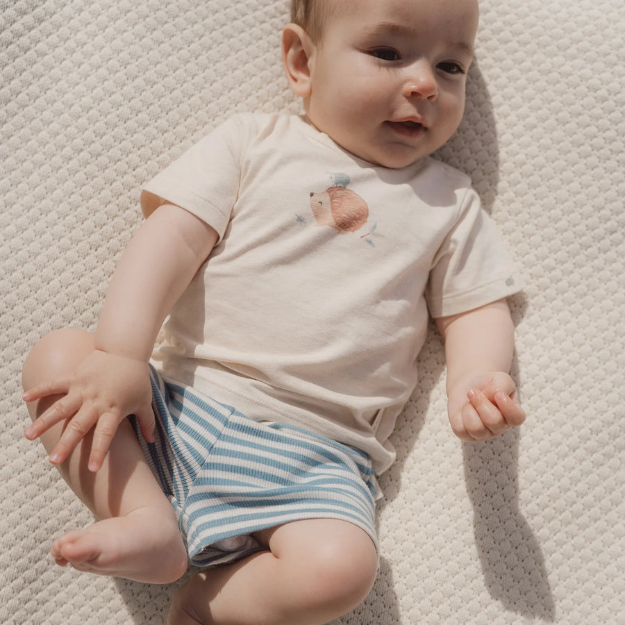 LITTLE DUTCH. Shorts blue Stone Blue stripe