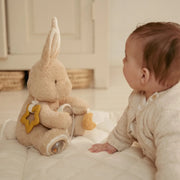 LITTLE DUTCH. Activity Cuddle Toy Baby Bunny